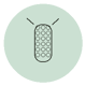 Iliosporos