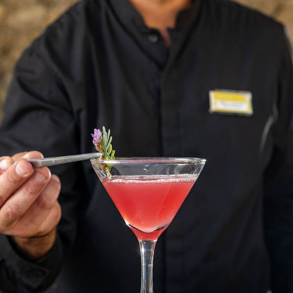 Apollo Palace Resort Corfu Bars
