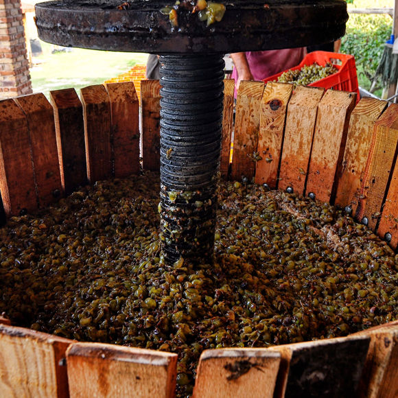 Apollo Corfu Hotel Pontiglio Winery Experience 00861