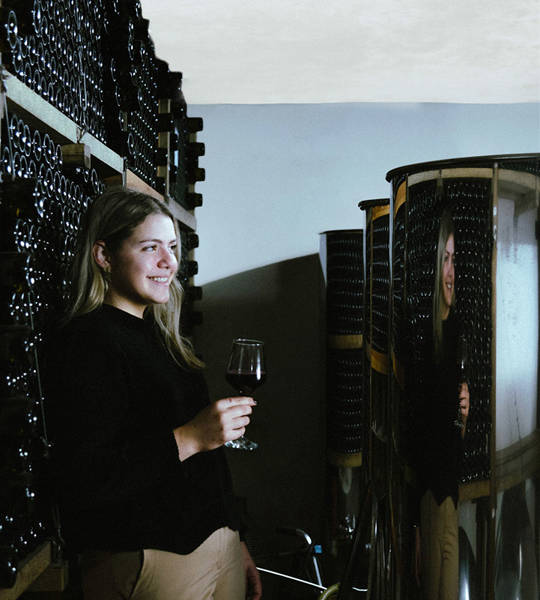 Apollo Corfu Hotel Pontiglio Winery Experience 6553