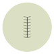 Thymari