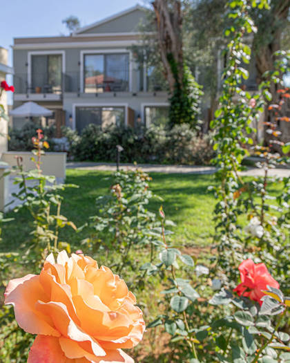 Apollo Palace Resort Corfu 0955