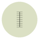 Dendrolivano
