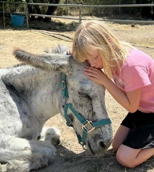 Penelope & Jette I