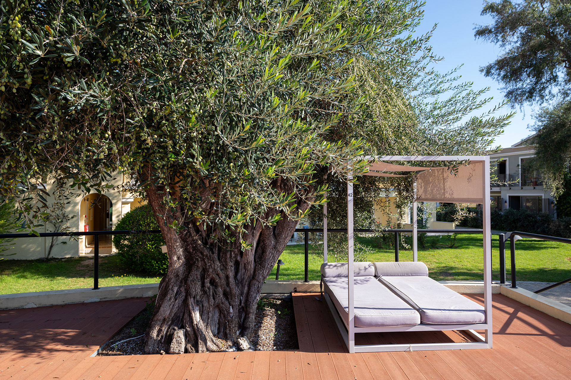 Apollo Palace Resort Corfu 0711